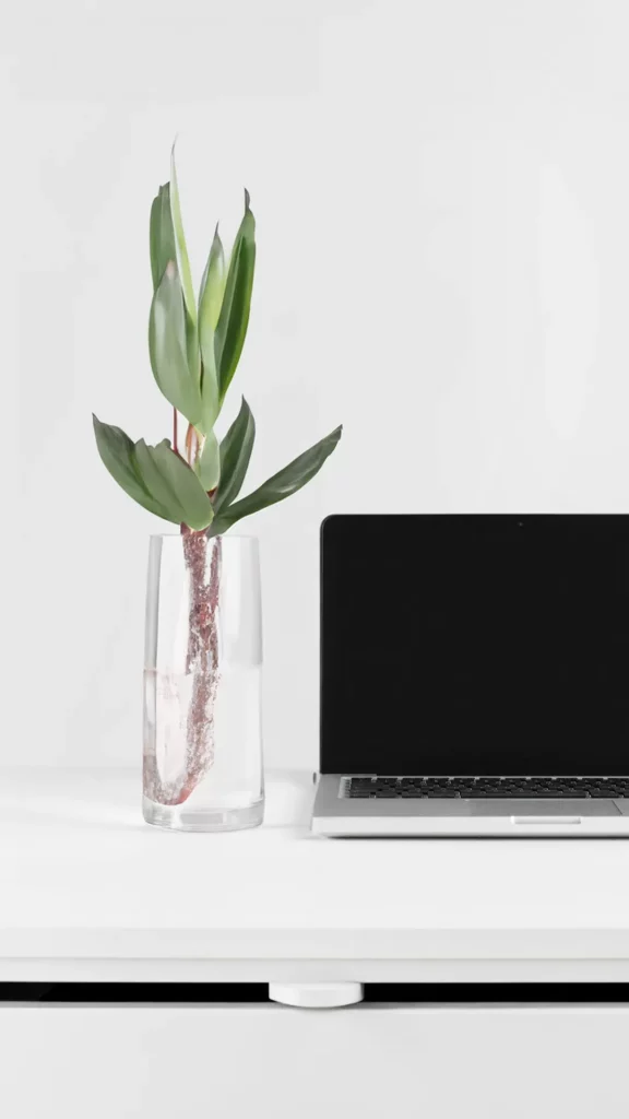 Bureau met een laptop en een plant in een glas